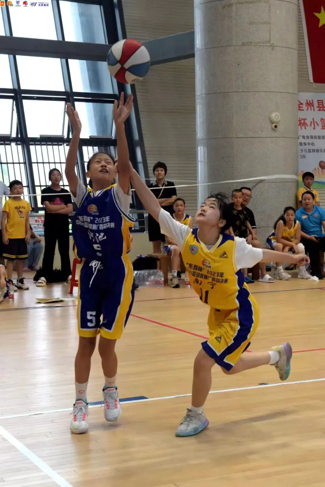 如何借助专业篮球教练提升个人声誉_0